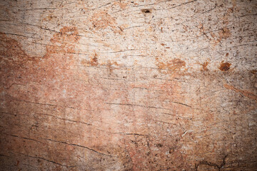 Old wood cracked and dust background texture.