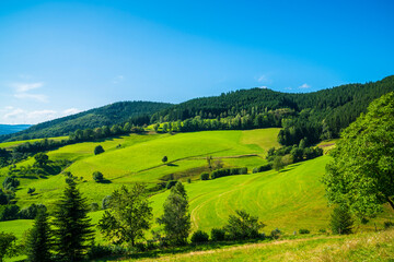 Fototapeta na wymiar Germany, black forest panorama view nature landscape tourism region at the edge of the forest in summer perfect for hiking and sports