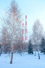 The territory of the CHP plant in winter, an industrial facility against the background of snow and trees