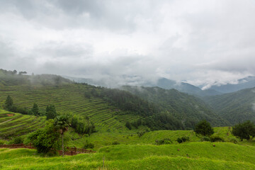 Misty Blue Mountains, terraced fields