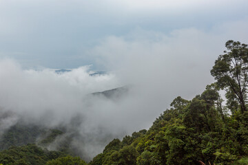 Fototapeta na wymiar Misty Blue Mountains, terraced fields