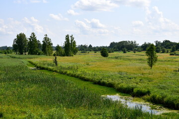 Obraz premium A view of a vast field or meadow full of trees, shrubs, greenery and herbs with some rural buildings located in the distance seen on a sunny summer day on a Polish countryside during a hike