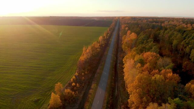 Flying over road through autumn forest and feeld on sunset