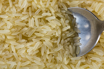 White and yellow rice grains close-up