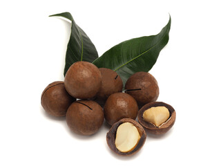 Macadamia nuts with green leaves on white background
