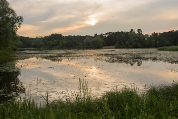 Beautiful nature with pond lake, green trees foliage, grass and  clouds in the background. Afternoon panorama landscape at Pokrovskoe Streshnevo urban forest park, Moscow, Russia