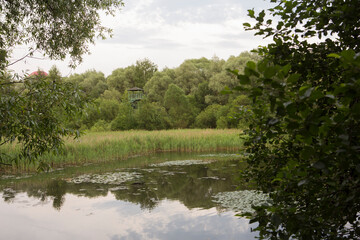 Beautiful nature with pond lake, green trees foliage, grass, observation tower, clouds in the background. Afternoon panorama landscape at Pokrovskoe Streshnevo urban forest park, Moscow, Russia