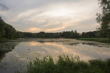 Fototapeta premium Beautiful nature with pond lake, green trees foliage, grass and clouds in the background. Afternoon panorama landscape at Pokrovskoe Streshnevo urban forest park, Moscow, Russia