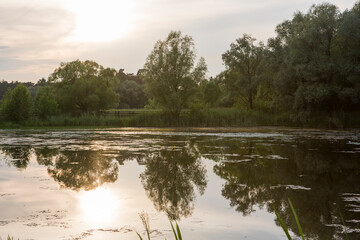 Beautiful nature with pond lake, green trees foliage, grass and  clouds in the background. Afternoon panorama landscape at Pokrovskoe Streshnevo urban forest park, Moscow, Russia
