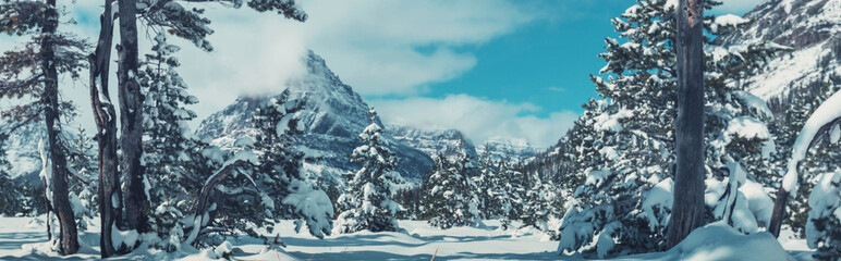 Glacier Park in winter