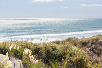 Fototapeta New Zealand coast obraz