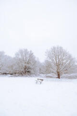 Bench in the snow