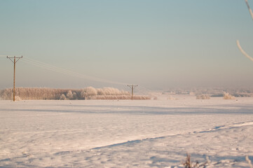 Zimowy krajobraz drewniane słupy z drutem elektrycznym na ośnieżonym polu - obrazy, fototapety, plakaty