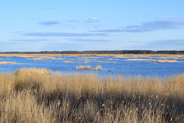 Bbite lake in early spring