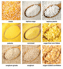 set of various groats in wood spoons closeup