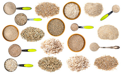 set of various rye grains cutout on white