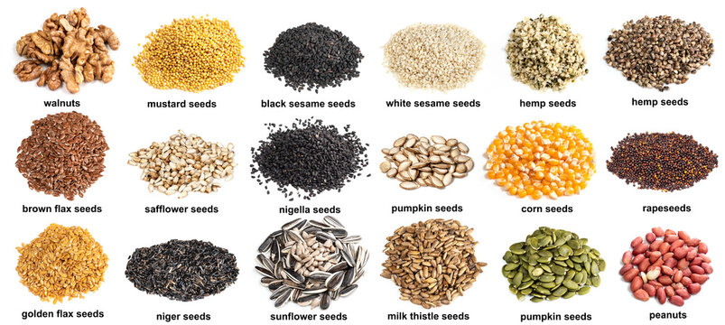 set of piles of variuos oilseeds cutout on white