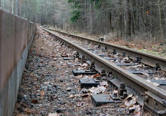 Railroad in the woods stopping point