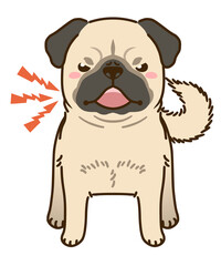 威嚇するパグ（フォーン）