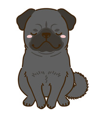 おじぎする黒パグ