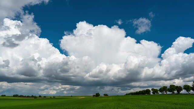 Cumulonimbus Cloud Moving and greenfield Timelapse 