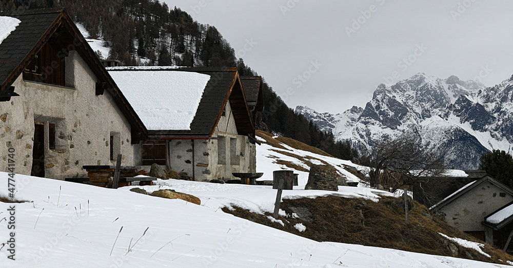 Wall mural engadine