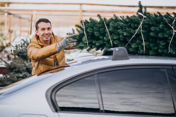 Young man delivering christmas tree on car