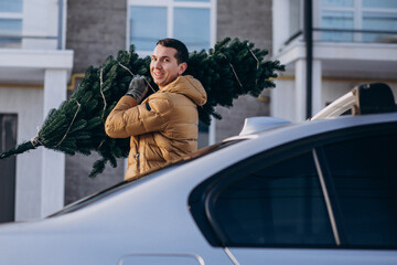 Father carrying christmas tree home