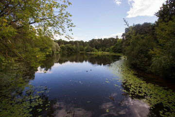 foliage, leaves, wallpaper, reflection, reflected, lake, crack, pond, surface, water, surrounded, area, background, beautiful, bor, city, day, environment, forest, grass, green, khoroshevskoye, landma