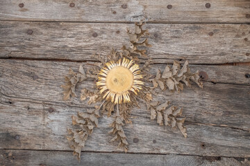Fleur de cardabelle sur de vieilles planches de bois pour arrière-plans. 