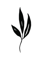 Black herb. Vector clipart. Hand drawn