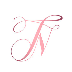 NT, TN monogram logo.Calligraphic signature icon.Letter t and letter n.Lettering sign isolated on light fund.Wedding, fashion, beauty alphabet initials.Elegant, luxury handwritten style.