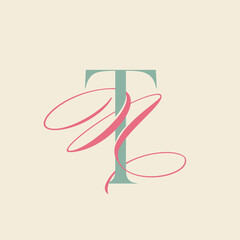 NT, TN monogram logo.Calligraphic signature icon.Intertwined letter t and letter n.Lettering sign isolated on light fund.Wedding, fashion, beauty alphabet initials.Elegant, luxury style.
