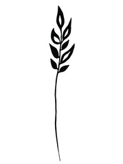 Black herb. Vector clipart. Hand drawn
