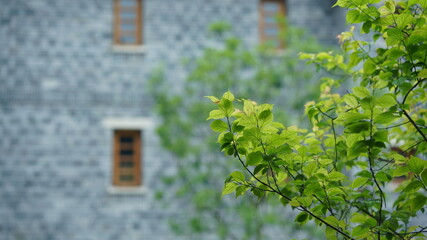 Fototapeta na wymiar The beautiful traditional Chinese village view with the classical architecture and fresh green trees as background in spring
