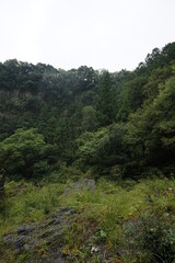 Fototapeta na wymiar 日本の自然