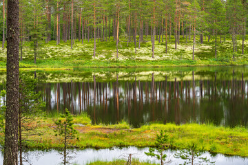 Berautiful nature view across a lake in northern Sweden