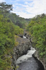 Fototapeta na wymiar Rivière des Roches, Bassin la Paix, île de la Réunion, Océan Indien
