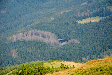 przygoda © RASSUMSEN