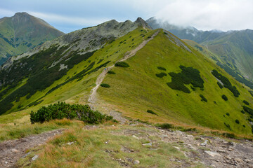 przygoda © RASSUMSEN