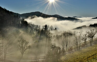 Sonnenstrahlen dringen durch den Nebel im Schwarzwald
