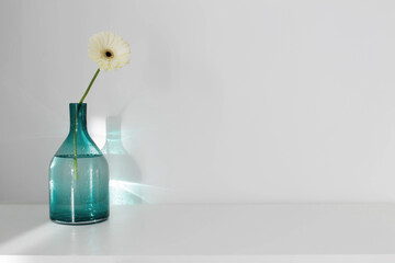 gerber in glass vase on white shelf in sunlight