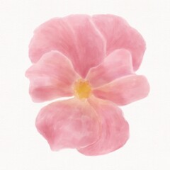 Watercolor pink forget-me-not flower, image, isolated object on white background