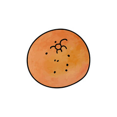 orange fruite isolated vector illustration