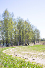 Winding gravel road through sunny green Forest illuminated by sunbeams through mist