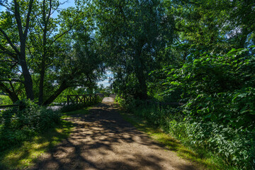 Fototapeta na wymiar Path with bridge passing through a lush green landscape
