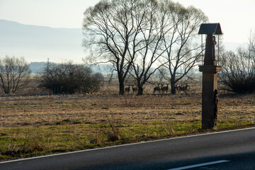 Obraz premium podróż