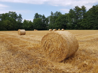 Strohballen auf einem Acker 