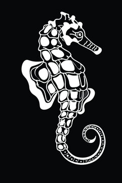 Sea horse, animals chalk vector isolated illustration on dark background. Concept for print, logo, cards 