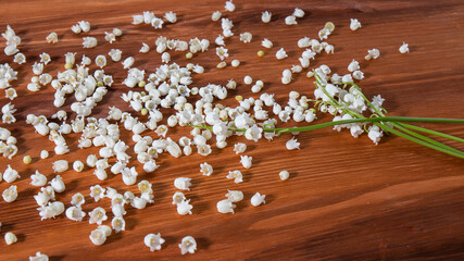 Lilies  of the valley are on the wooden background. Flower background. Flower heads close up.
